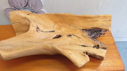 LESENA SKLEDA